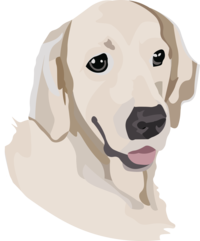 Lisa V.png Thumbnail