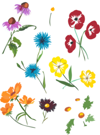 Bloemen 2.png Thumbnail