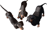 Naamloos-2.png Thumbnail