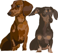 Aibo & Zelda.png Thumbnail