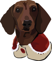 Christmas Koji 4.png Thumbnail