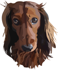 Paws box by a 4.png Thumbnail