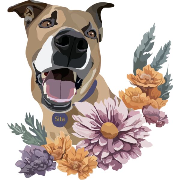 Sita Flowers Thumbnail