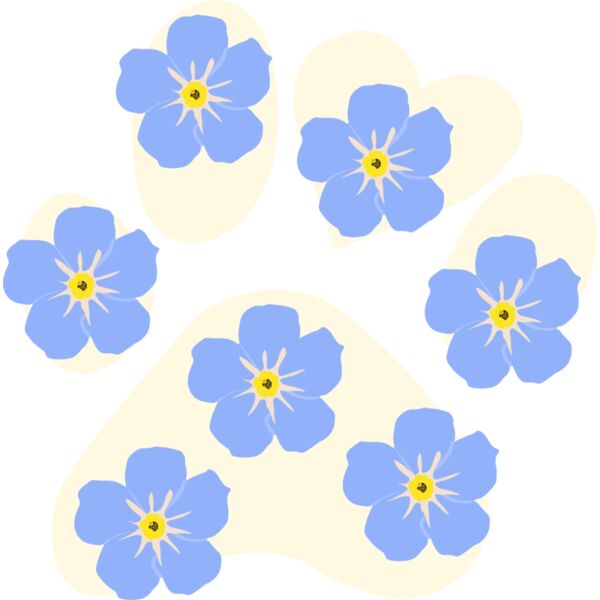 Forget me not Paw 2 Thumbnail
