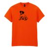 Heavy Cotton™ t-shirt Thumbnail