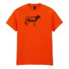 Heavy Cotton™ t-shirt Thumbnail