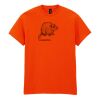 Heavy Cotton™ t-shirt Thumbnail