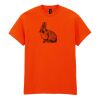 Heavy Cotton™ t-shirt Thumbnail